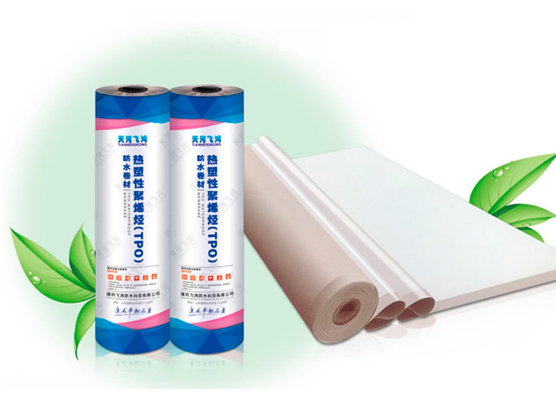 Thermoplastic Polyolefin (TPO)